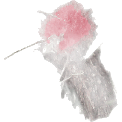 Species cutout