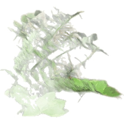 Species cutout