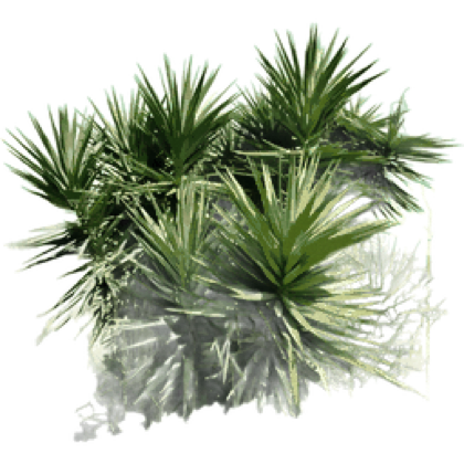 Species cutout