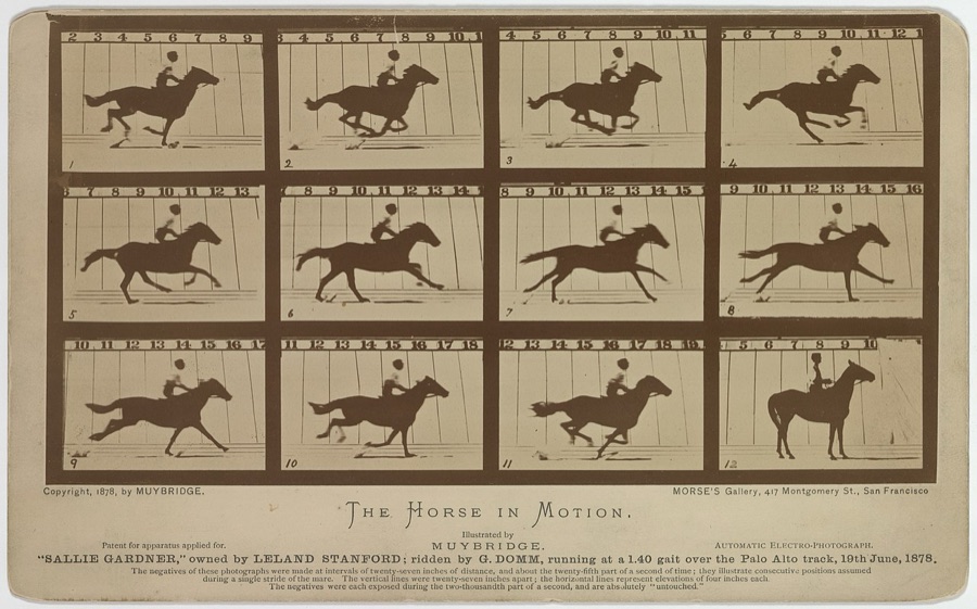 Muybridge's 1878 photo sequence of a galloping horse