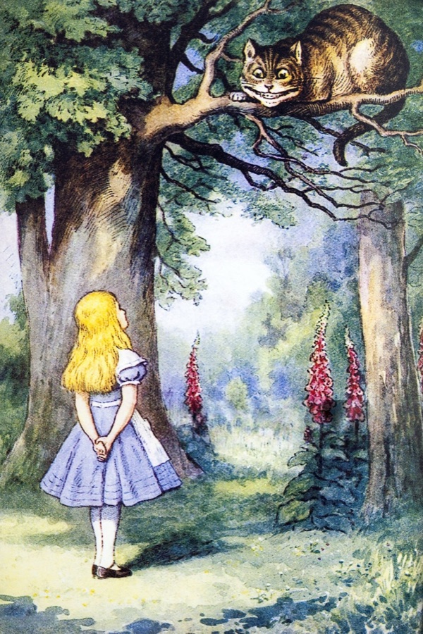 Alice and the Cheshire Cat