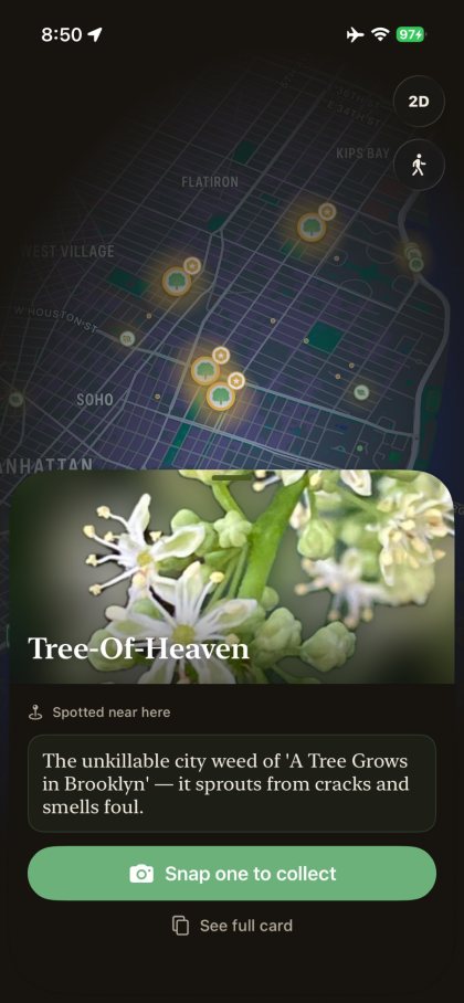 Floradex on iPhone: plants spotted on a map of Manhattan